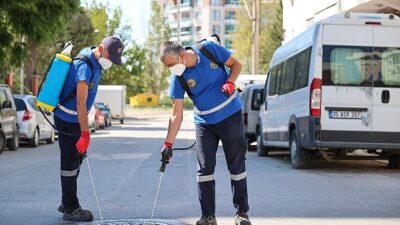 Buca’da ilaçlama atağı