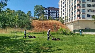 Gebze Tatlıkuyu Vadisi Kent Parkı’na nizamlı bakım