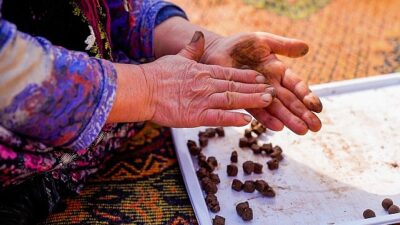 İnci GS Yuasa Akü’den tabiata 100.000 tohumluk katkı!