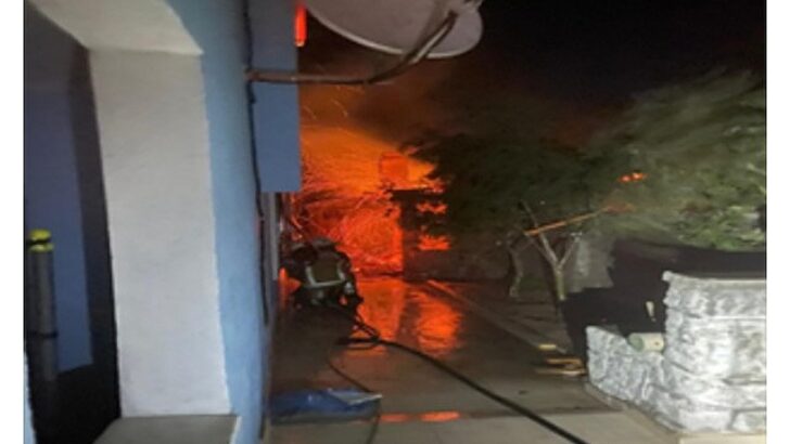 İzmir İtfaiyesi Dikili’deki yangına müdahale ediyor