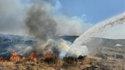 İzmir İtfaiyesi kentsel ve kırsal yangınlarla çaba ediyor
