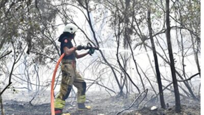 İzmir İtfaiyesi Menderes’te alevlerle çaba ediyor