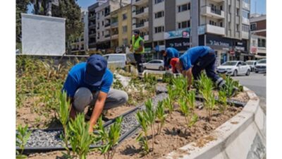 Kavşaklara estetik ve sürdürülebilir dokunuş