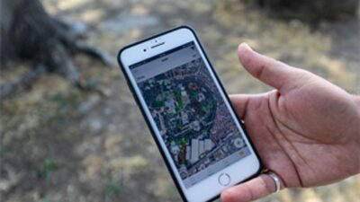 Kültürpark’ın palmiyeleri inançta