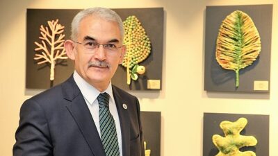 OGM: Hafta sonu çıkan 85 yangının birden fazla ihmal ve dikkatsizlikten