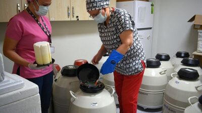 Türkiye’nin birinci Tüp Bebek Merkezinde anne baba olma hayaline bilimsel dokunuş