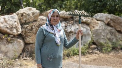 Yenişehir Belediyesinin takviyesiyle safran üreticisi sayısı artıyor