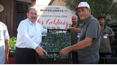 Yüzde 50 Hibeli Kışlık Zerzevat Fidesi Takviyesi Üreticilerle Buluştu