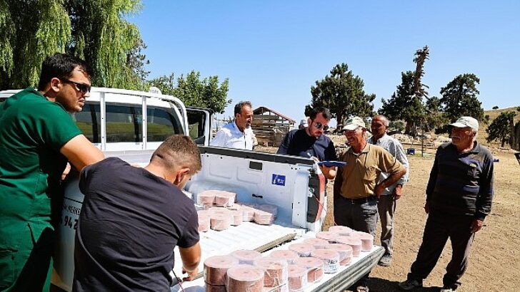 Büyükşehir Konyaaltı’nın “Çoban Haritasını” çıkarıyor