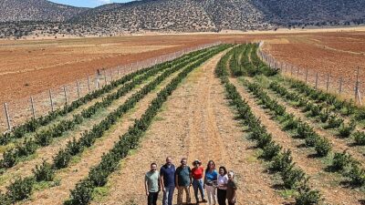 Büyükşehir’in hibeleri üreticinin yüzünü güldürdü