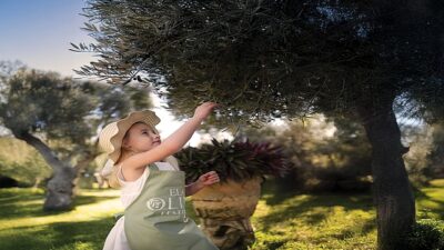 Ela Excellence Resort Belek’te Zeytin Ağaçlarının Gölgesinde Unutulmaz Bir Seyahat