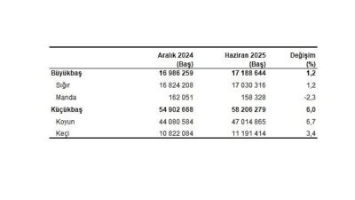 Hayvancılık İstatistikleri, Haziran 2025