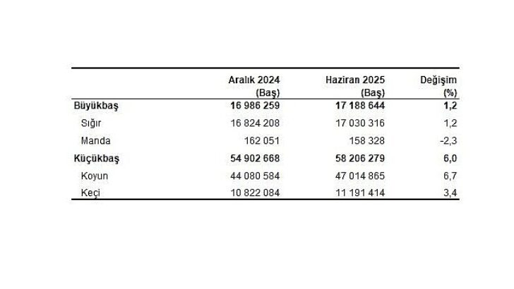 Hayvancılık İstatistikleri, Haziran 2025