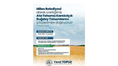 Milas Belediyesi’nden Üreticilere Karakılçık Buğday Tohumu Dayanağı
