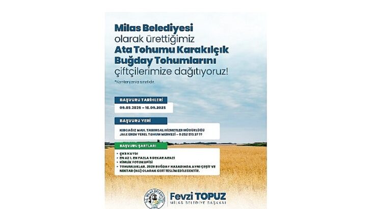 Milas Belediyesi’nden Üreticilere Karakılçık Buğday Tohumu Dayanağı