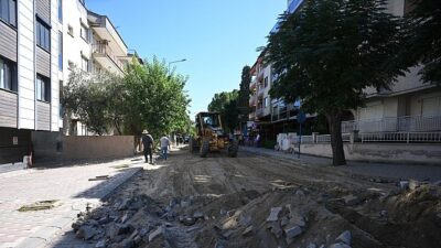 Seyrantepe Mahallesi 117. Sokak’a Asfalt Çalışması Başlıyor