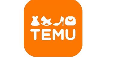 Temu’nun Büyük Hacimli Teslimatları Türkiye’de Horoz Lojistik’e Emanet
