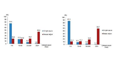 Teşebbüs Özelliklerine Nazaran Dış Ticaret İstatistikleri, 2024