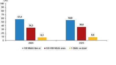 Teşebbüslerde Bilişim Teknolojileri Kullanım Araştırması, 2025