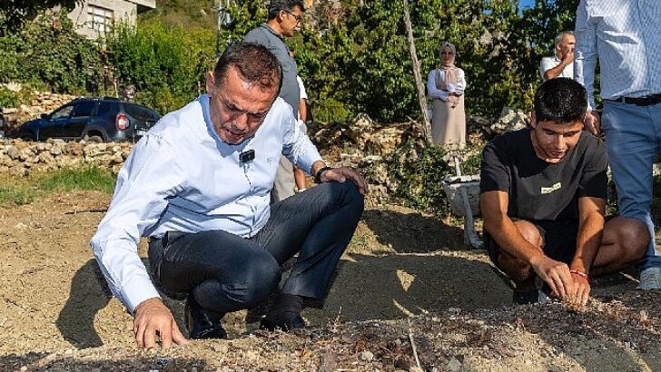 Yenişehir Belediyesinin hibe ettiği safran soğanları toprakla buluştu