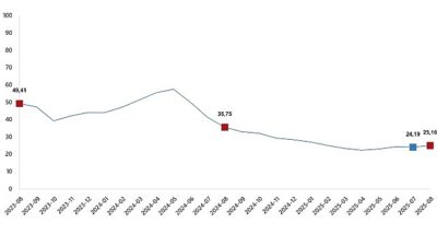 Yurt İçi Üretici Fiyat Endeksi, Ağustos 2025