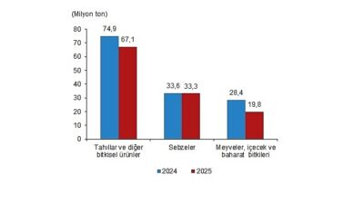 Bitkisel Üretim 2.Tahmini, 2025