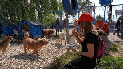 Borusan Pati Elçileri’nden sokağa terk edilmiş can dostlara mama, kollayıcı aile ve sahiplendirme dayanağı