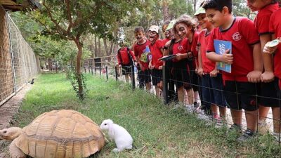 Büyükşehir Doğal Hayat Parkı’nda 4 Ekim kutlaması
