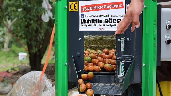 Büyükşehir’in ceviz soyma makineleri üreticilerin hizmetinde