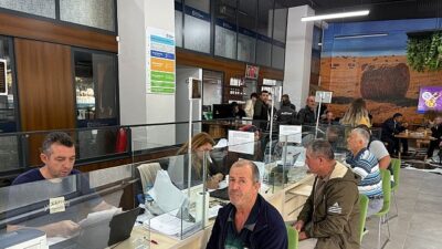 Büyükşehir’in tohum takviyesine ağır ilgi