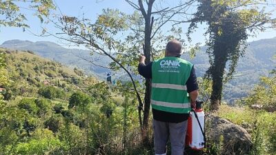 Canik Belediyesi’nden Kokarca Zararlısına İlaçla Müdahale