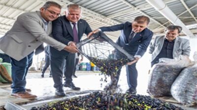 Dönemin birinci zeytinyağı Lider Tugay’dan