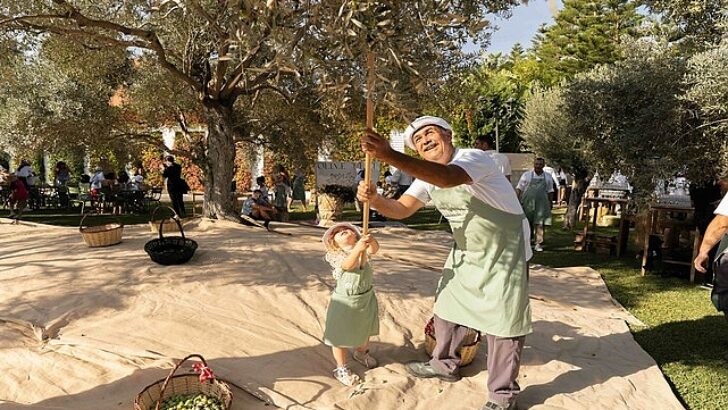 Ela Excellence Resort Belek Olive Fest ile tabiatın kalbinde eşsiz bir tecrübe sundu!