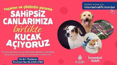 İstanbul Vakfı’ndan sahipsiz can dostlarımıza takviye daveti