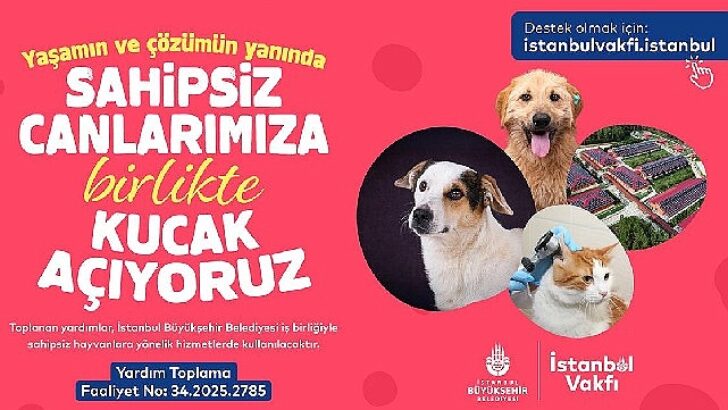 İstanbul Vakfı’ndan sahipsiz can dostlarımıza takviye daveti