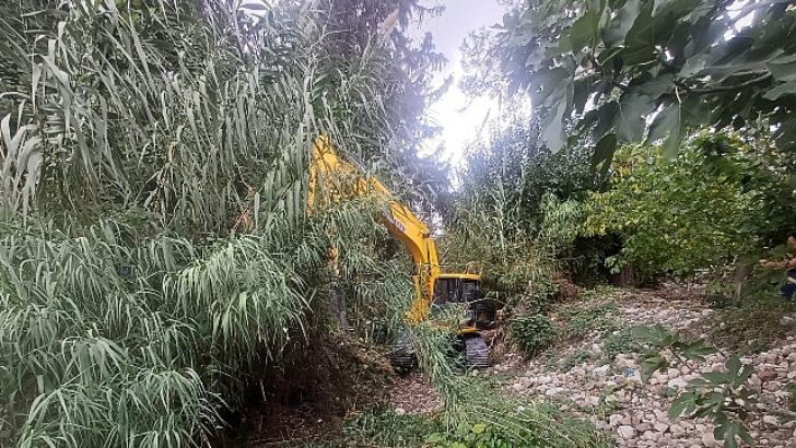 Kemer’de dere paklığı çalışmaları