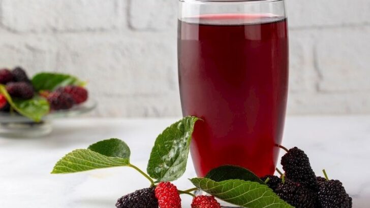 Karadut Şerbeti Tarifi