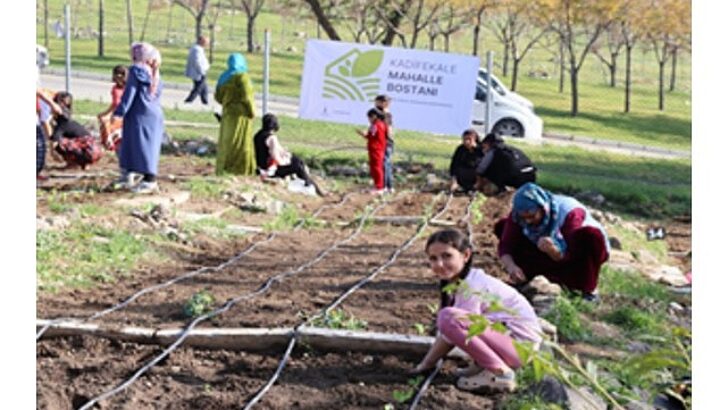 Mahalle bostanlarında kış dikimleri başladı