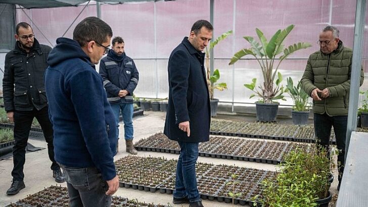 Bornova kendi yeşilini kendi üretiyor