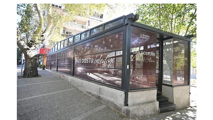 Eros Kedi Kliniği Bornova’da umut merkezi oldu