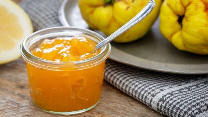 Pratik Ayva Reçeli Tarifi