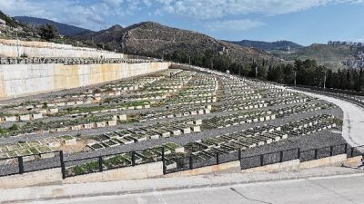 Büyükşehir 70 futbol alanı büyüklüğünde alan açtı