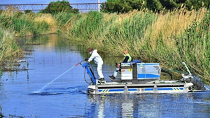 İzmir’de etraf için ağır mesai