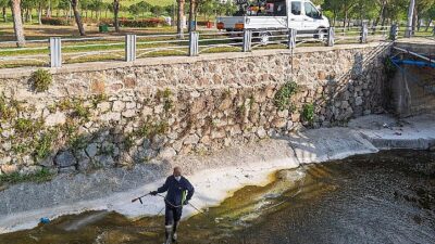 “Mevsimsel sinekler zararsız”