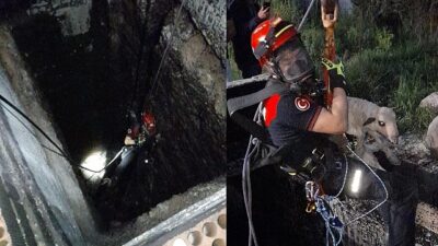 Kuyuya düşen kuzuya itfaiyeden nefes kesen kurtarma