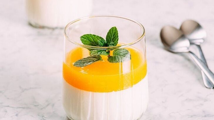 Portakallı Panna Cotta Tarifi