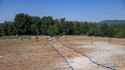 Bornova’da atıl topraklar hayat buluyor