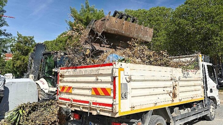 Bornova’da yaz öncesi yangın ve etraf seferberliği
