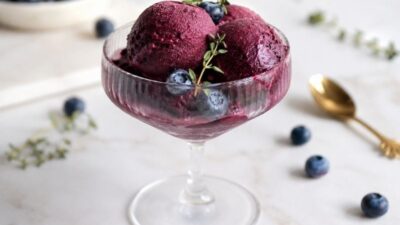 Ev Yapımı Yaban Mersinli Vegan Sorbe Tarifi