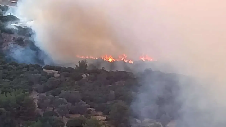 Bornova Homeros Vadisi’nde orman yangını